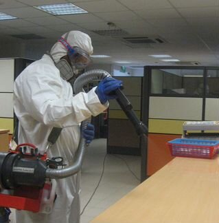 Уничтожение мышей, крыс, кротов