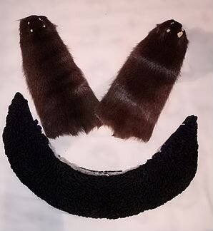 Шкурки нутрия