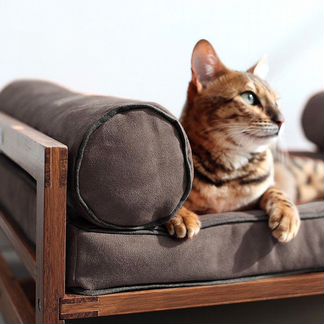 Идеальная кровать для кота