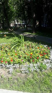 2-к квартира, 54 м², 2/9 эт.