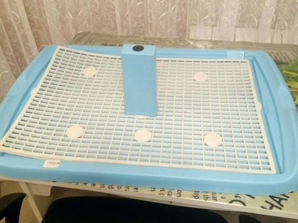 Лоток