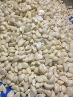 Чеснок (свежий) очищенный