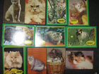 Карманные календарики Кошки 1990-98, 2013 гг объявление продам