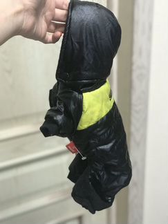 Одежда для собак