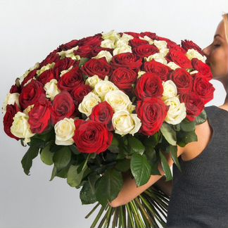 101 роза красная и белая Микс Эквадор