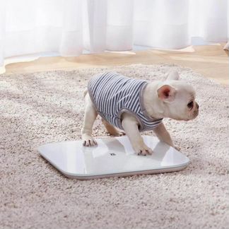 Умные весы Mi body scale 2