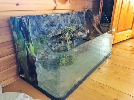 Террариум-аквариум
